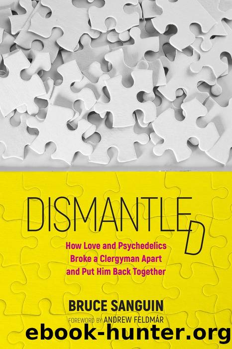 Dismantled: How Love and Psychedelics Broke a Clergyman Apart and Put Him Back Together by Bruce Sanguin