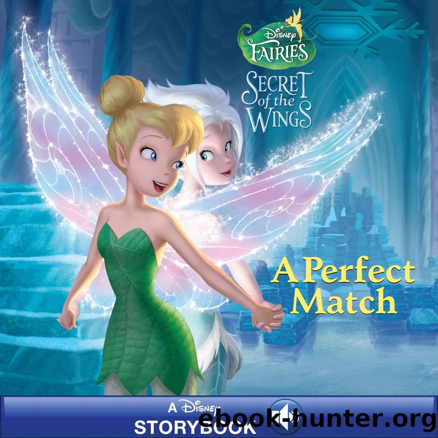 Disney Fairies: Secret of the Wings: A Perfect Match by Unknown