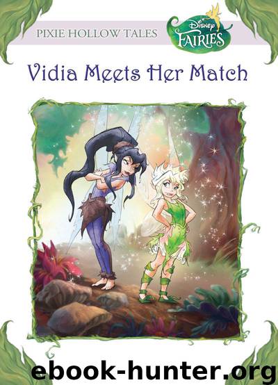 Disney Fairies: Vidia Meets Her Match by Kiki Thorpe