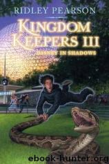 Disney in Shadow by Pearson Ridley