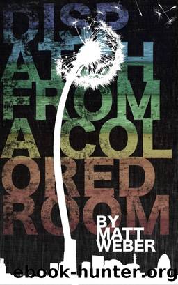 Dispatch from a Colored Room by Matt Weber