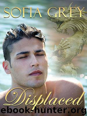 Displaced by Sofia Grey