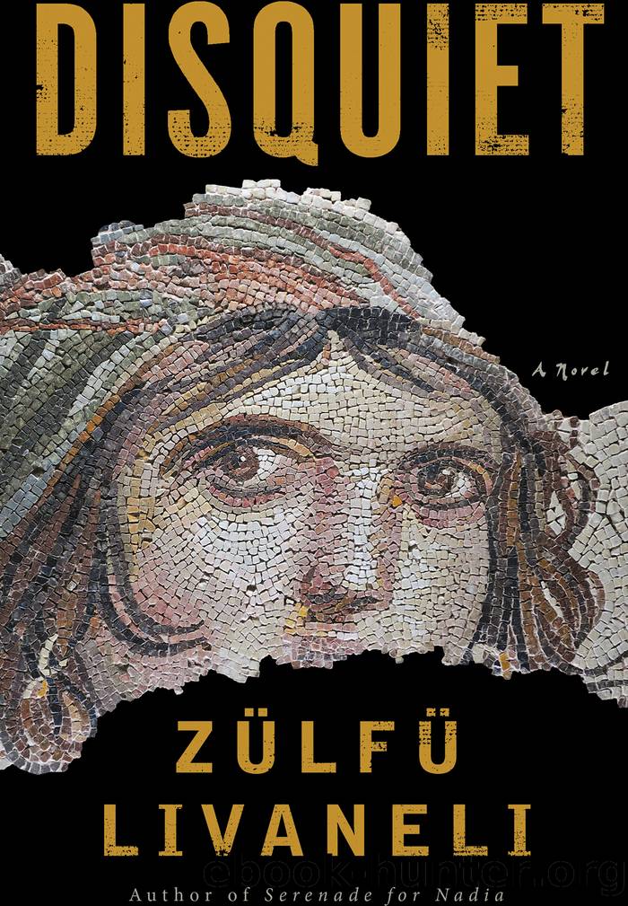 Disquiet by Zülfü Livaneli