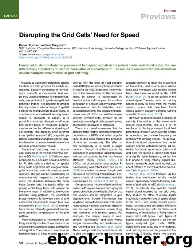 Disrupting the Grid Cells' Need for Speed by Robin Hayman & Neil Burgess