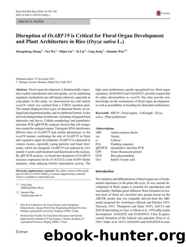 Disruption of OsARF19 is Critical for Floral Organ Development and Plant Architecture in Rice (Oryza sativa L.) by Shengzhong Zhang & Tao Wu & Shijia Liu & Xi Liu & Ling Jiang & Jianmin Wan