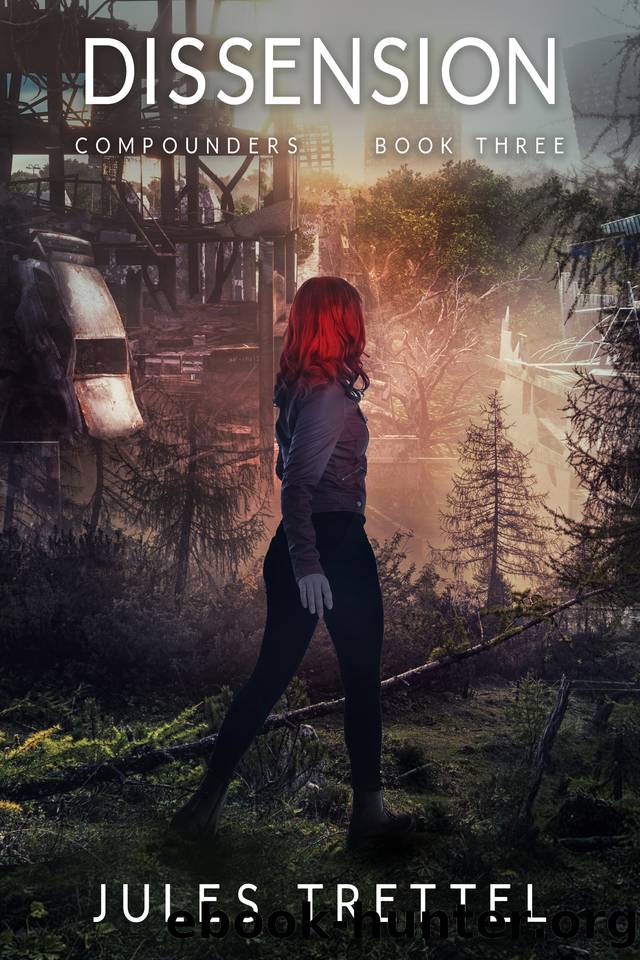 Dissension: A Societal Collapse Post-ApocalypticDystopian Survival Thriller by Julie Trettel
