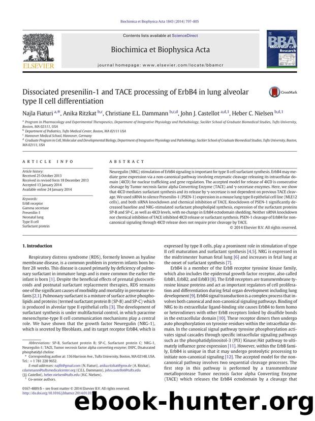 Dissociated presenilin-1 and TACE processing of ErbB4 in lung alveolar type II cell differentiation by Najla Fiaturi & Anika Ritzkat & Christiane E.L. Dammann & John J. Castellot & Heber C. Nielsen