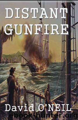 Distant Gunfire by David O'Neil