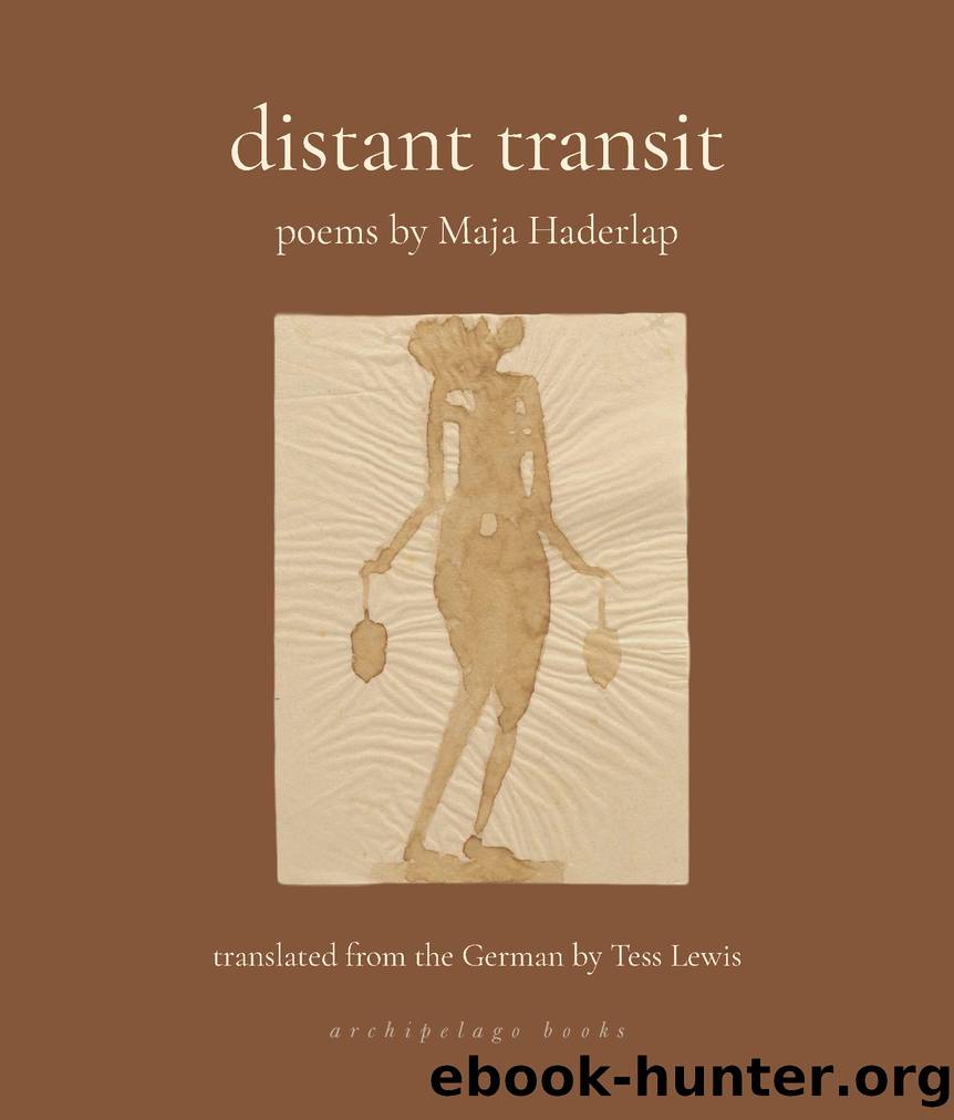 Distant Transit by Maja Haderlap