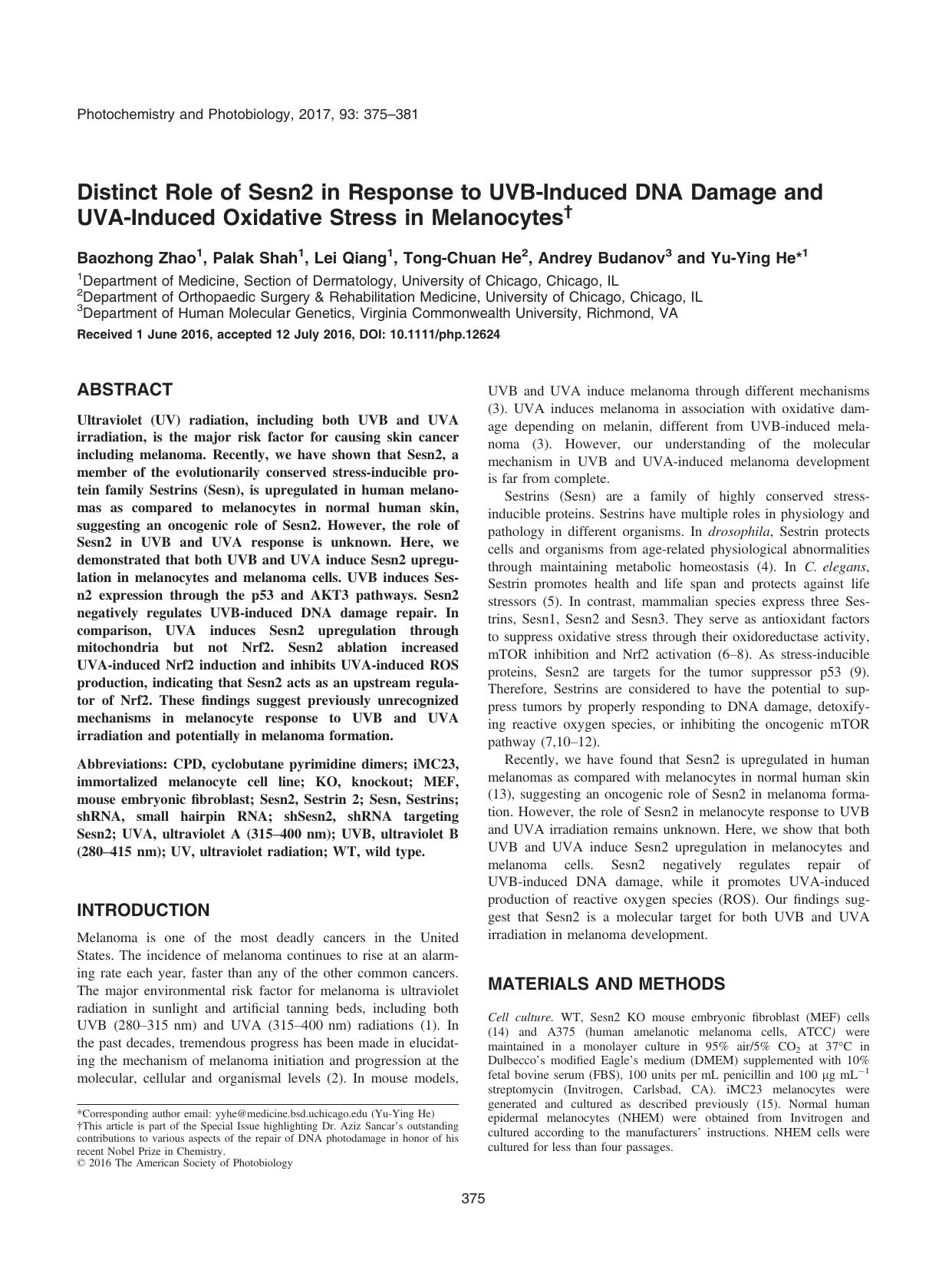 Distinct Role of Sesn2 in Response to UVBâInduced DNA Damage and UVAâInduced Oxidative Stress in Melanocytes by Unknown