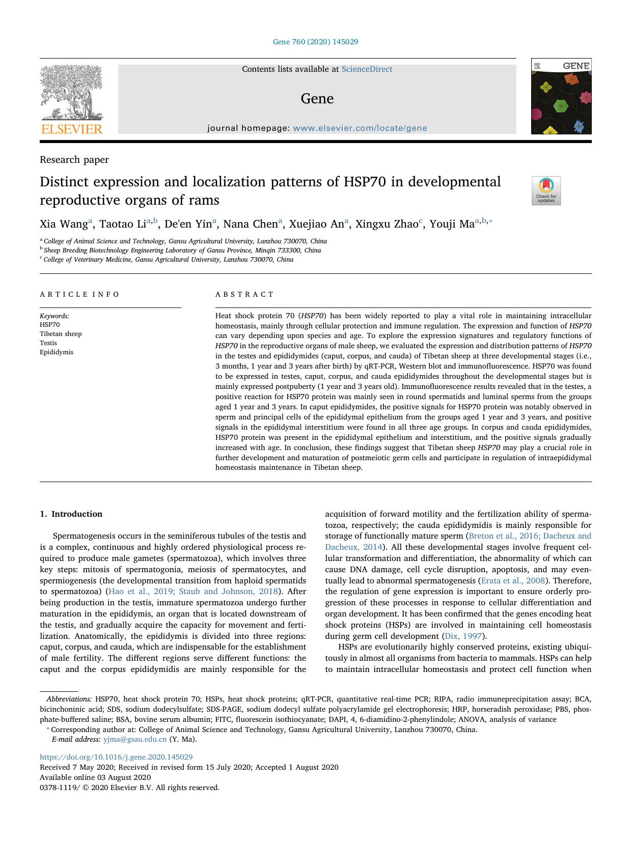 Distinct expression and localization patterns of HSP70 in developmental reproductive organs of rams by Xia Wang & Taotao Li & De'en Yin & Nana Chen & Xuejiao An & Xingxu Zhao & Youji Ma