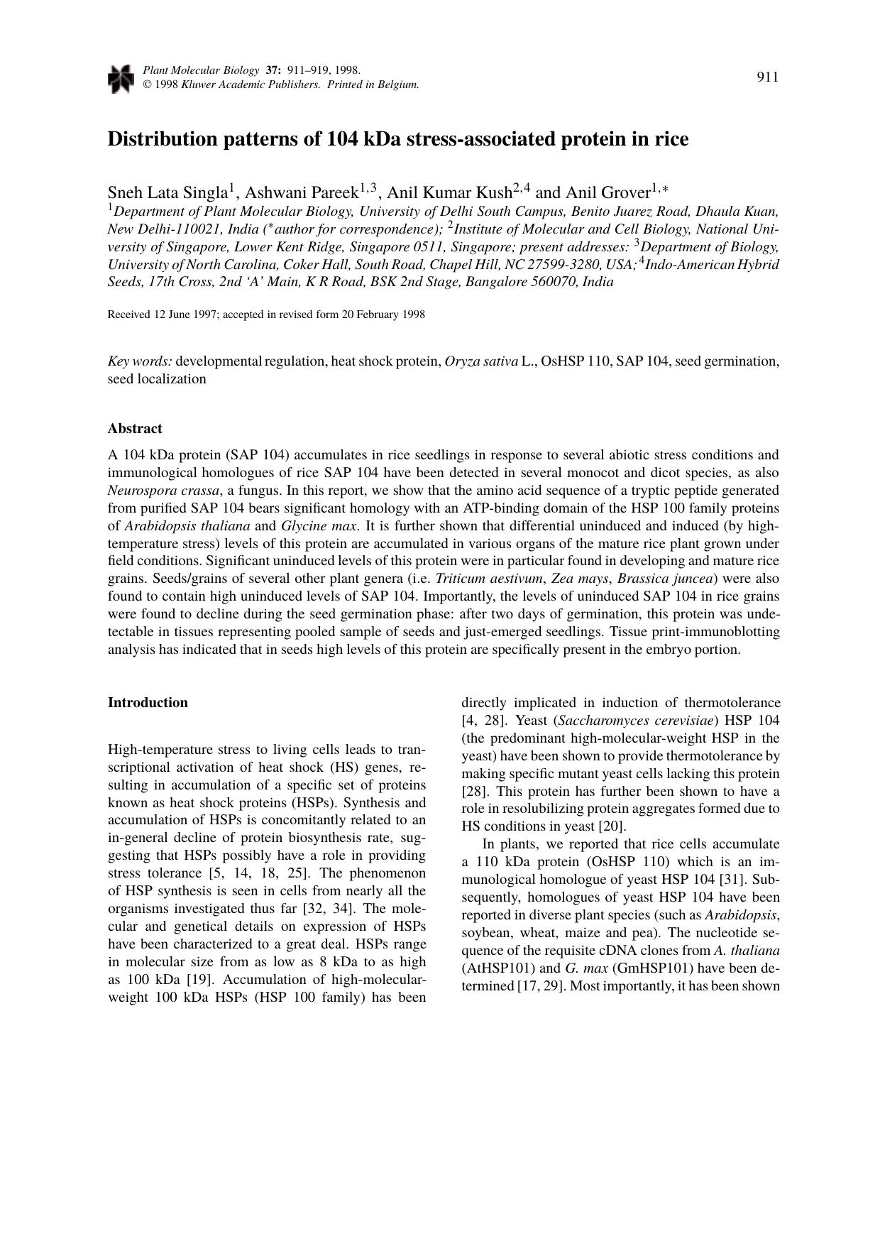 Distribution patterns of 104 kDa stress-associated protein in rice by Unknown