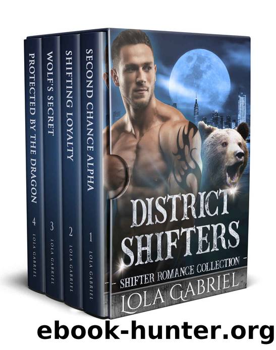 District Shifters Collection by Lola Gabriel