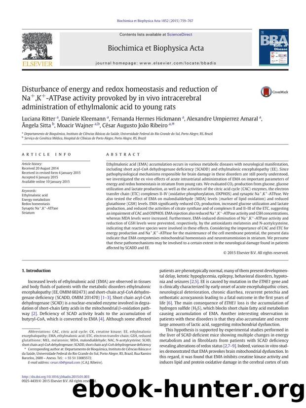 Disturbance of energy and redox homeostasis and reduction of Na+,K+-ATPase activity provoked by in vivo intracerebral administration of ethylmalonic acid to young rats by unknow
