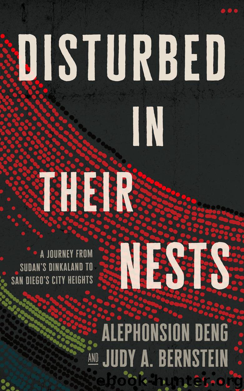 Disturbed in Their Nests by Alephonsion Deng