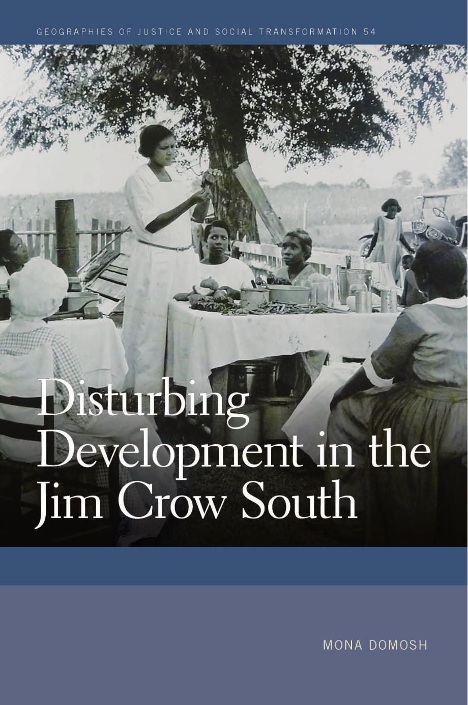 Disturbing Development in the Jim Crow South by Mona Domosh