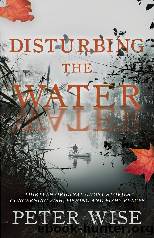 Disturbing the Water: Thirteen original ghost stories concerning fish, fishing and fishy places by Peter Wise