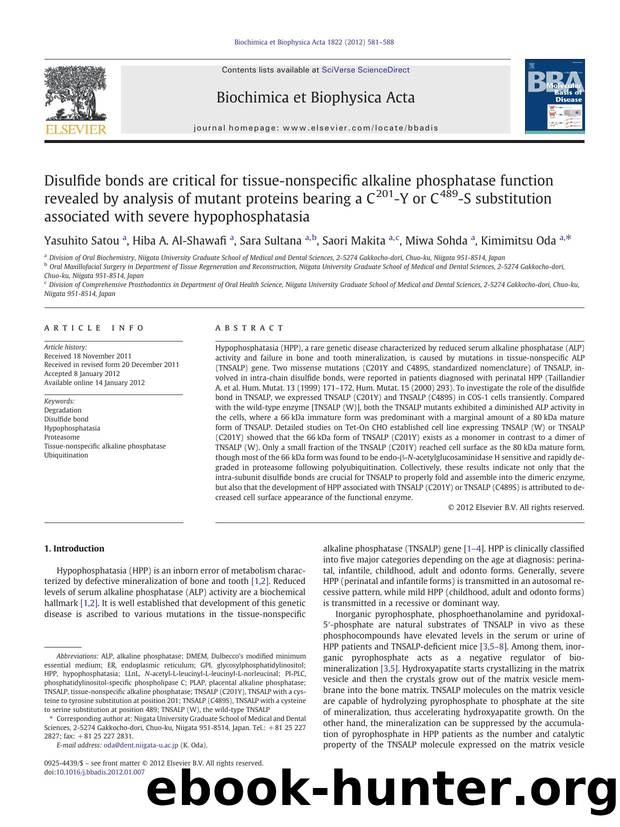 Disulfide bonds are critical for tissue-nonspecific alkaline phosphatase function revealed by analysis of mutant proteins bearing a C201-Y or C489-S substitution associated with se by Yasuhito Satou & Hiba A. Al-Shawafi & Sara Sultana & Saori Makita & Miwa Sohda & Kimimitsu Oda