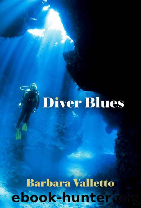 Diver Blues by Barbara Valletto