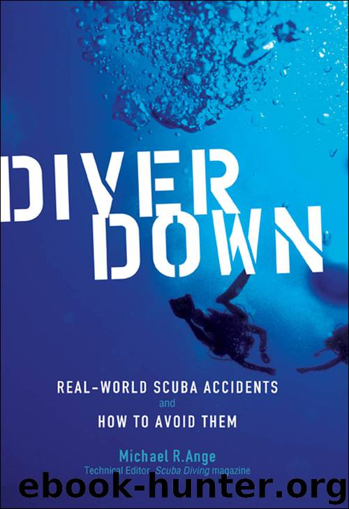 Diver Down by Michael Ange