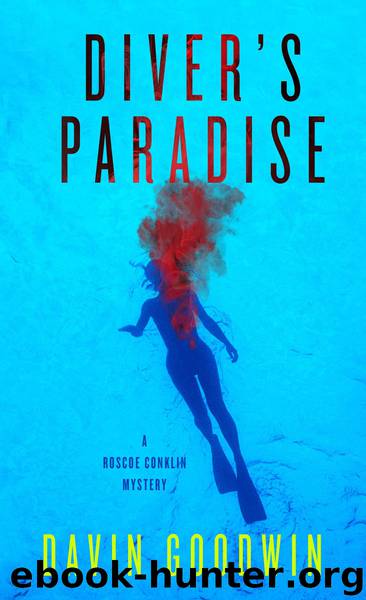 Diver's Paradise by Davin Goodwin