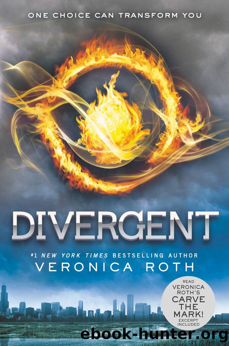 Divergent (Collector's Edition, 2014) (Divergent, Book 1) by Veronica Roth