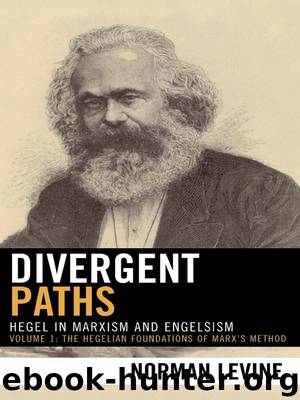 Divergent Paths by Levine Norman