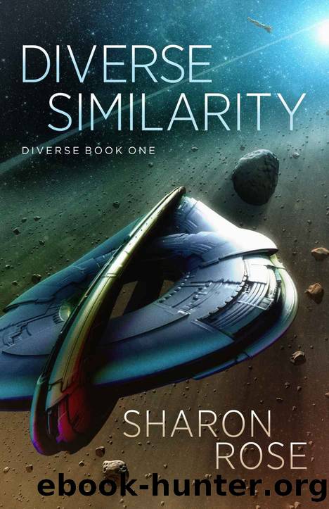 Diverse Similarity by Sharon Rose