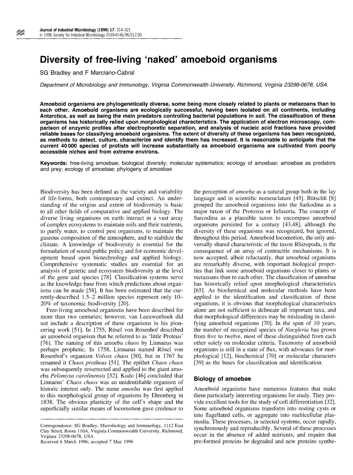 Diversity of free-living &#x2018;naked&#x2019; amoeboid organisms by Unknown
