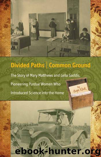 Divided Paths, Common Ground by Angie Klink