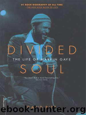 Divided Soul by David Ritz