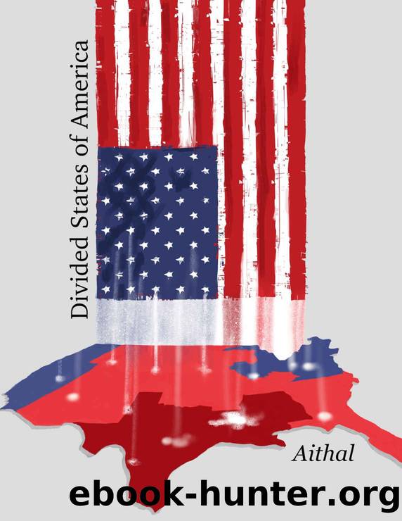Divided States of America by Aithal