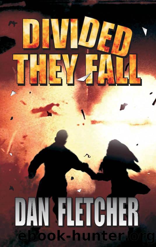 Divided They Fall: Part II in The David Nbeke Thriller Series by Dan Fletcher