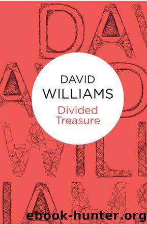 Divided Treasure by David Williams