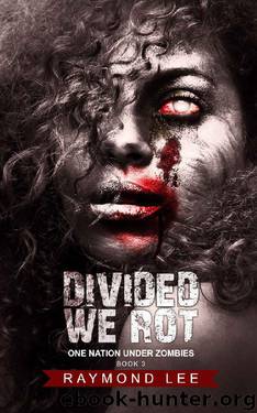 Divided We Rot (One Nation Under Zombies Book 3) by Raymond Lee