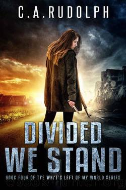 Divided We Stand by C. A. Rudolph