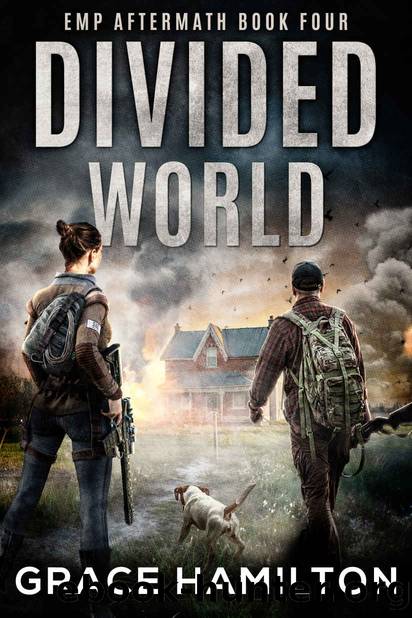Divided World (EMP Aftermath Book 4) by Grace Hamilton