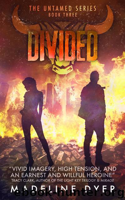 Divided by Madeline Dyer