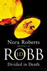 Divided in Death by J. D. Robb
