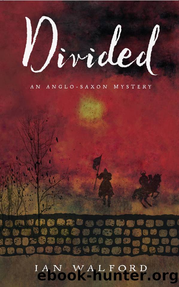 Divided: An Anglo-Saxon Mystery by WALFORD IAN