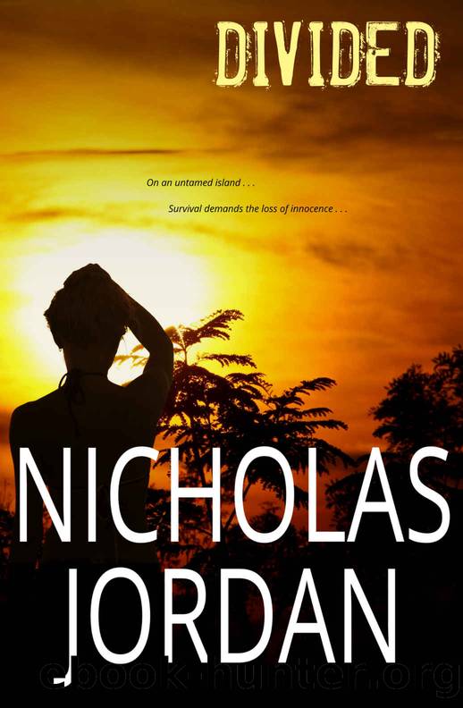 Divided: An Island Survival Story (Stranded Book 2) by Nicholas Jordan