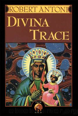 Divina Trace by Robert Antoni