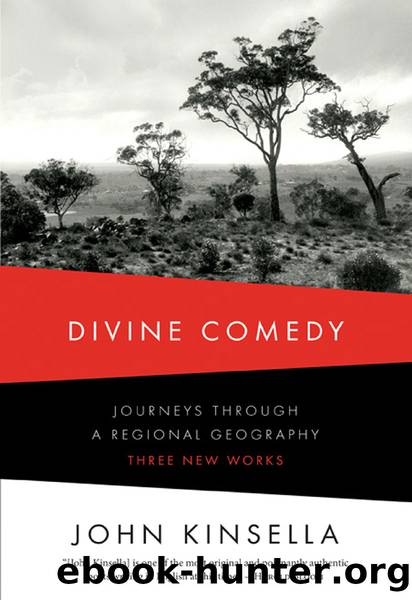 Divine Comedy by John Kinsella
