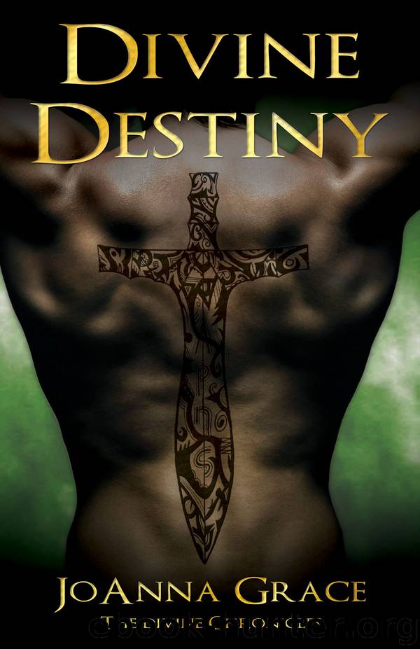 Divine Destiny- the Divine Chronicles Book 2 by JoAnna Grace