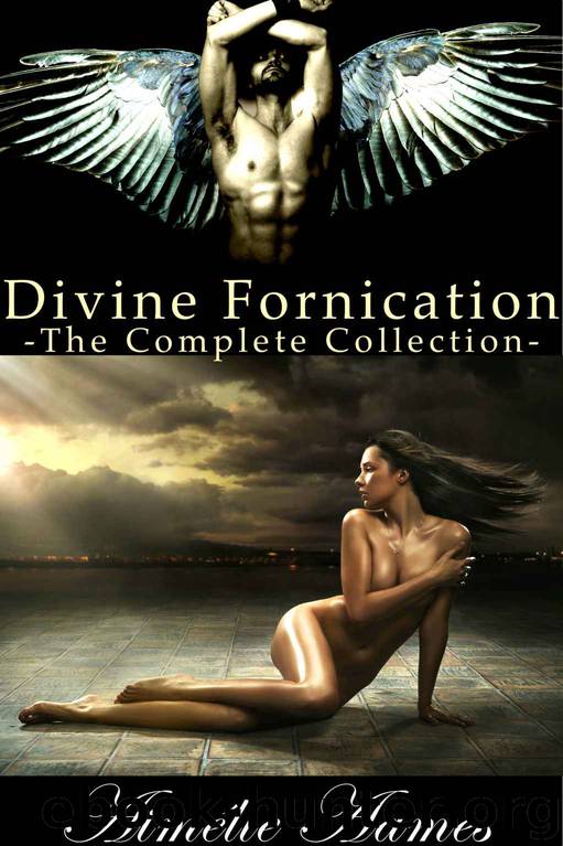 Divine Fornication--The Complete Collection (An Erotic Story of Angels, Vampires and Werewolves) by Aimélie Aames