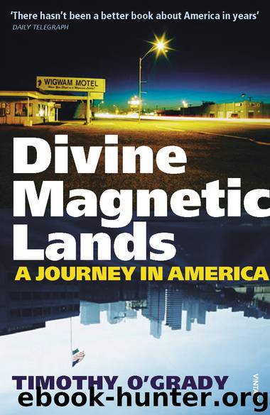 Divine Magnetic Lands by Timothy O'Grady