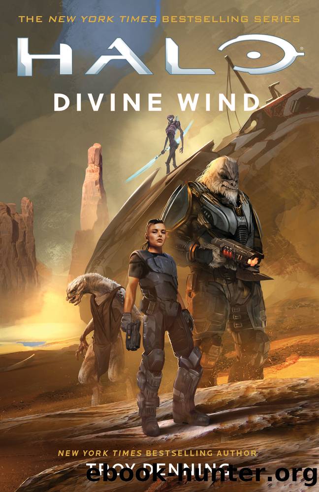 Divine Wind by Troy Denning