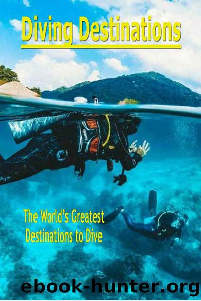 Diving Destinations: The World's Greatest Destinations to Dive: Underwater Destinations by Nicolas Tchikovani