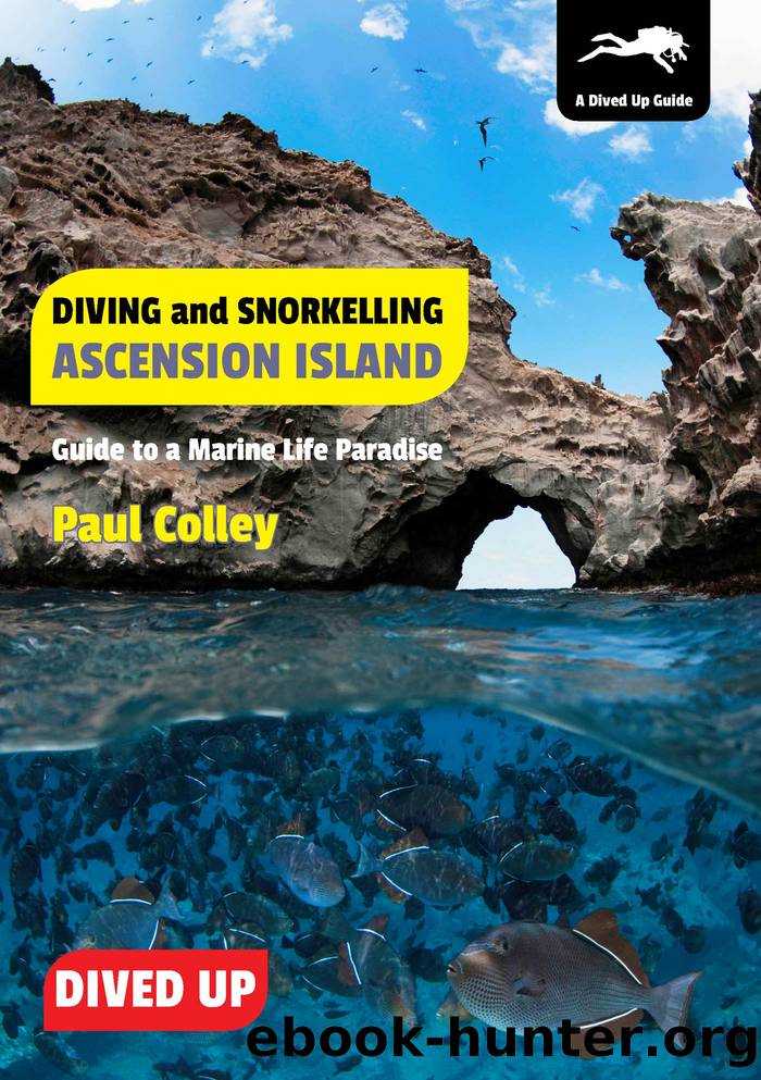 Diving and Snorkelling Ascension Island by Colley Paul;Edge Martin;
