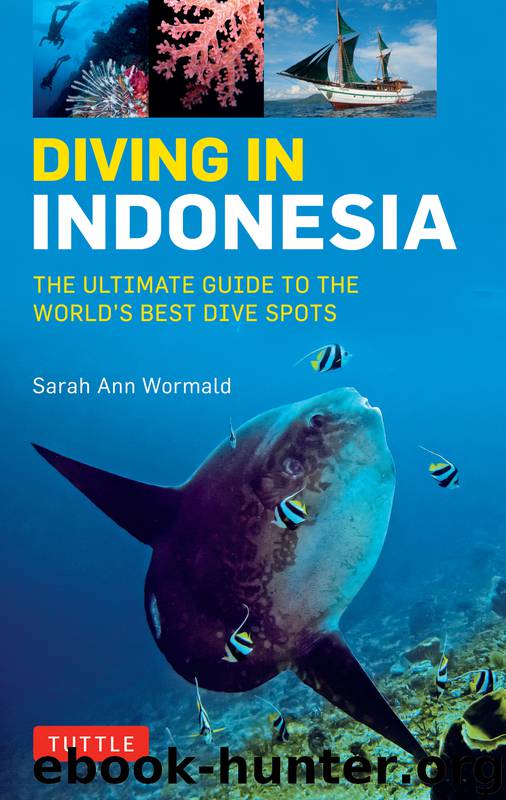 Diving in Indonesia by Sarah Ann Wormald